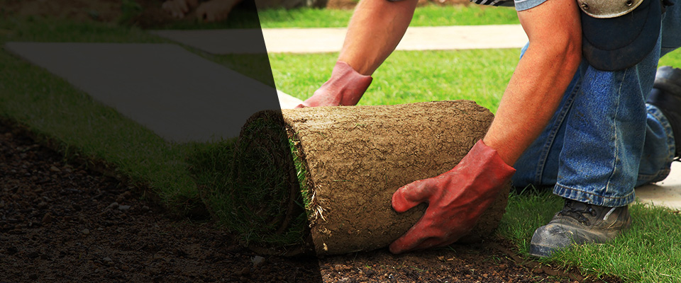 Bryn Athyn Landscapers